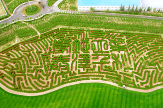 67381����-��Ϸ�ٷ���վ