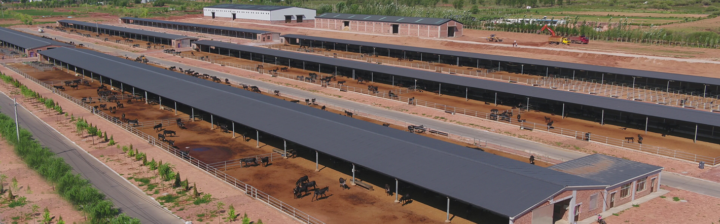 67381����-��Ϸ�ٷ���վ