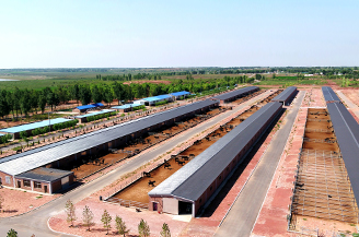 67381����-��Ϸ�ٷ���վ